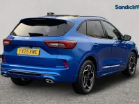 Used Ford Kuga ST-Line X 150 HP (110 kW) 2025 Blue SUV