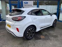 Used Ford Puma ST-Line 125 HP (91 kW) 2023 White Hatchback