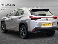 New Lexus UX 300h 199 HP (146 kW) 2025 Unknown SUV