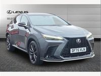 Used Lexus NX350h Sport Line 197 HP (144 kW) 2025 Grey SUV