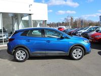 Used Vauxhall Grandland X 130 HP (95 kW) 2020 Topaz blue SUV