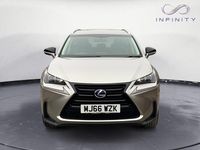 Used Lexus NX300h Sport Line 197 HP (144 kW) 2016 Silver SUV