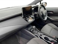 Used Suzuki Swace 2023 Brown Estate