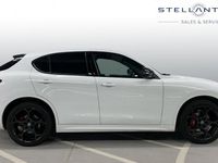 Used Alfa Romeo Stelvio 280 HP (205 kW) 2024 White SUV