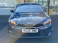 Used Kia Ceed 138 HP (101 kW) 2025 Grey Hatchback