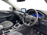 Used Ford Kuga Titanium 150 HP (110 kW) 2022 Blue SUV