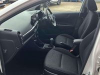 Used Kia Picanto 67 HP (49 kW) 2022 White Hatchback