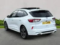 Used Ford Kuga ST-Line X 225 HP (165 kW) 2023 White SUV