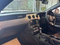 Usado Ford Mustang Fastback 317 CV (233 kW) 2016 Plateado Coupe