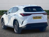 New Lexus NX350h 2026 Estate