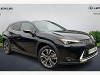 Used Lexus UX 150 kW (204 HP) 2022 SUV