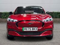 Used Ford Mustang Premium 370 HP (272 kW) 2024 Estate