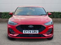 Used Ford Focus ST-Line X 125 HP (91 kW) 2024 Red Hatchback