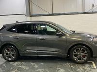 Used Ford Kuga ST-Line 150 HP (110 kW) 2023 Grey SUV