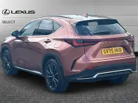 Used Lexus NX450h+ Sport Line 292 HP (214 kW) 2025 Sonic copper SUV