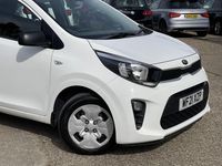 Used Kia Picanto 66 HP (48 kW) 2021 White Hatchback