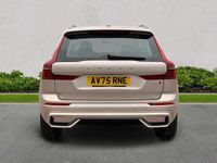 Used Volvo XC60 Plus 247 HP (181 kW) 2025 Gold SUV