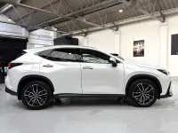 Used Lexus NX450h+ 2024 White SUV