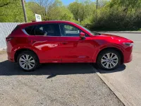 Used Mazda 6 Inclusive 150 HP (110 kW) 2022 Red Estate