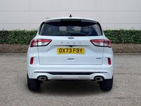 Used Ford Kuga ST-Line 190 HP (139 kW) 2023 White SUV