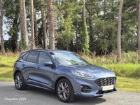 Used Ford Kuga ST-Line 150 HP (110 kW) 2022 Blue SUV
