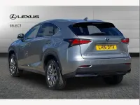 Used Lexus NX300h Luxury Line 194 HP (142 kW) 2016 Sonic titanium SUV