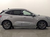 Used Ford Kuga ST-Line 150 HP (110 kW) 2023 Silver SUV
