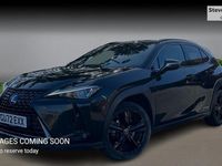 Used Lexus UX 250h 184 HP (135 kW) 2024 SUV