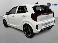 Used Kia Picanto 63 HP (46 kW) 2024 White Hatchback