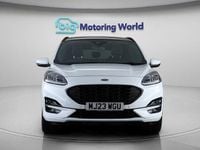 Used Ford Kuga ST-Line X 150 HP (110 kW) 2023 White SUV