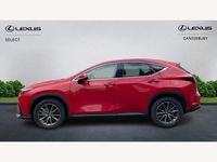 Used Lexus NX350h 2024 Red Estate