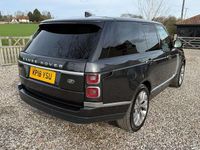 Used Land Rover Range Rover Autobiography 339 HP (249 kW) 2020 SUV
