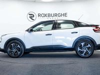 Used Citroën C4 PureTech 102 HP (75 kW) 2023 White SUV