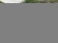 Used Seat Arona SE Technology 115 HP (84 kW) 2018 Silver SUV