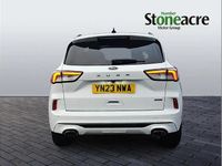 Used Ford Kuga ST-Line X 225 HP (165 kW) 2023 White SUV