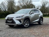 Used Lexus NX300h Luxury Line 2018 Silver SUV