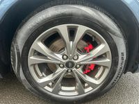 Used Ford Kuga ST-Line 150 HP (110 kW) 2022 Blue SUV