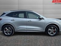 Used Ford Kuga ST-Line 242 HP (177 kW) 2025 SUV