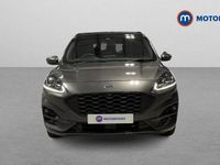 Used Ford Kuga ST-Line X 224 HP (164 kW) 2020 SUV