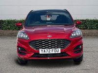 Used Ford Kuga ST-Line X 150 HP (110 kW) 2023 SUV