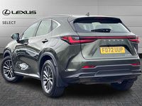 Used Lexus NX350h 242 HP (177 kW) 2022 Green SUV