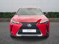 Used Lexus UX 250h 2021 Red SUV