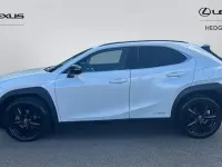 Usado Lexus UX 250h 184 CV (135 kW) 2024 SUV