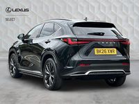 New Lexus NX350h Sport Line 2026 Estate