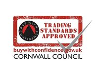 Used Renault Trafic Business 125 HP (91 kW) 2017 White MPV