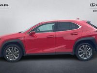 Used Lexus UX 250h Sport Design Packet 184 HP (135 kW) 2024 SUV
