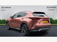 Used Lexus NX450h+ Sport Line 2025 Bronze SUV