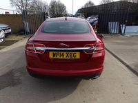 Used Jaguar XF R-Sport 200 HP (147 kW) 2014 Red Sedan