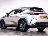 Used Lexus NX450h+ 2023 Silver SUV