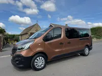 Used Renault Trafic Business 2020 Brown MPV